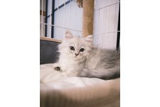 写真3886_3